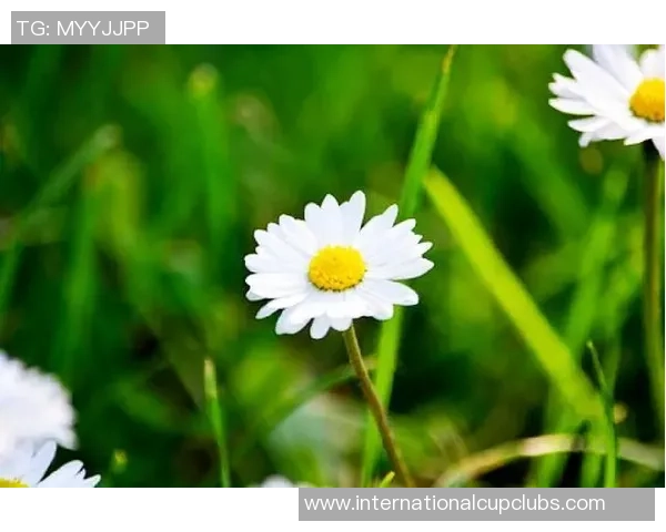 吕俊虎：从基层到巅峰的奋斗历程与人生启示